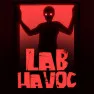 Lab Havoc Lab Havoc
