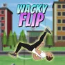 Wacky Flip 2 Wacky Flip 2